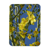 Palo Verde Blooms Magneet (Verticaal)