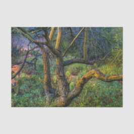 Palo Verde Tree Tissuepapier