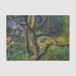 Palo Verde Tree Tissuepapier