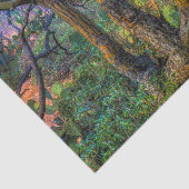 Palo Verde Tree Tissuepapier (Detail)