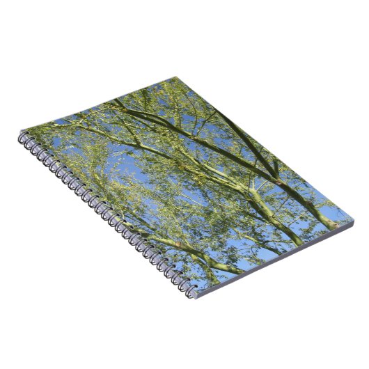 Palo Verde Trees Notitieboek (Rechterzijde)