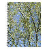 Palo Verde Trees Notitieboek (Voorkant)
