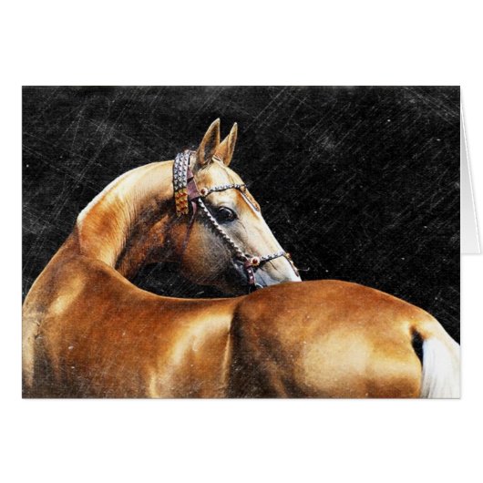 Palomino Akhal-Teke hengst (Voorkant Horizontaal)