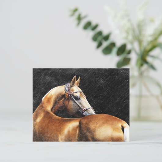 Palomino Akhal-teke stallion Briefkaart (Staand voorkant)