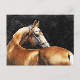 Palomino Akhal-teke stallion Briefkaart