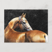 Palomino Akhal-teke stallion Briefkaart (Voorkant)