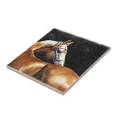 Palomino Akhal-teke stallion Tegeltje (Zijkant)