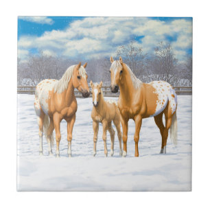 Palomino appaloosa paarden bij sneeuw tegeltje