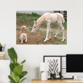 Palomino-Baby Paarden en Barn Cat Poster (Thuiskantoor)