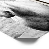 Palomino Black en White Faux Canvas Poster (Hoek)
