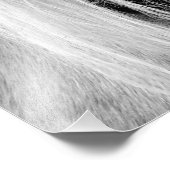 Palomino Black en White Foto Afdruk (Hoek)