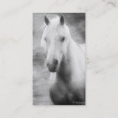 Palomino Black en White Visitekaartje (Achterkant)
