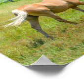 Palomino Boerderij Horse Poster (Hoek)