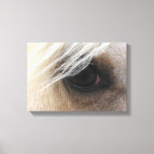 Palomino Canvas Afdruk (Voorkant)