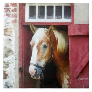 Palomino door Barn-deur Tegeltje