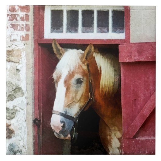Palomino door Barn-deur Tegeltje (Voorkant)