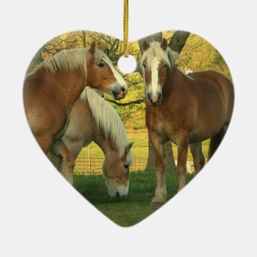 Palomino Draft Horse Ornament (Achterkant)