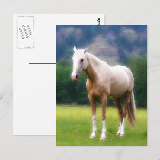 Palomino Dream Horse Briefkaart (Voorkant / Achterkant)
