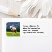 Palomino Dream Horse Etiket (Insitu)