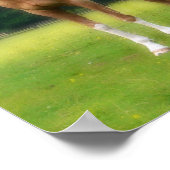 Palomino Dream Horse Poster (Hoek)