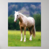 Palomino Dream Horse Poster (Voorkant)