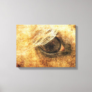 Palomino Eye Grunge Canvas Afdruk