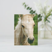 Palomino Foal Briefkaart (Staand voorkant)