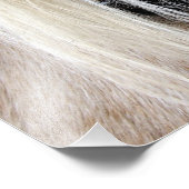 Palomino Foto Afdruk (Hoek)