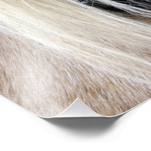 Palomino Foto Afdruk (Hoek)