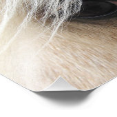 Palomino Foto Afdruk (Hoek)