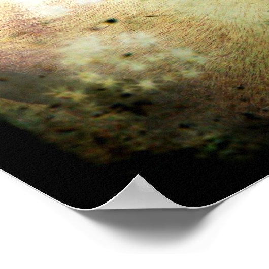 Palomino Glitter Grunge Poster (Hoek)