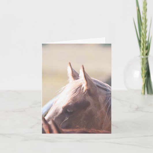Palomino Gold - 4" x 5.6" Notecard  Kaart (Voorkant)