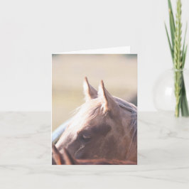 Palomino Goud - 4" x 5.6" Notitiekaart