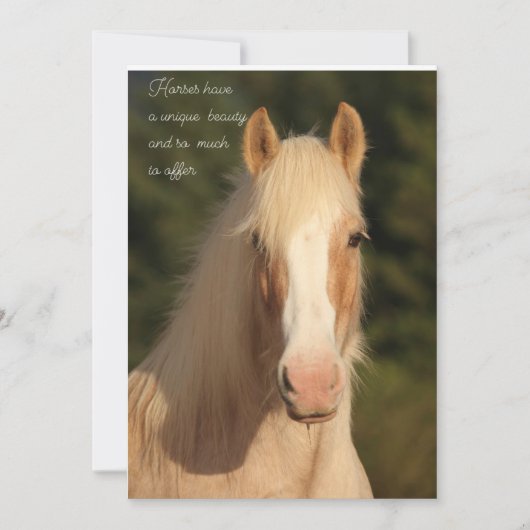 Palomino Gypsy Vanner Horse wenskaart Bedankkaart (Voorkant)