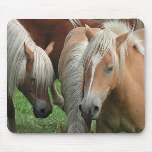 Palomino Herd Mousepad Muismat (Voorkant)