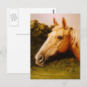 Palomino Horse Art Briefkaart (Voorkant / Achterkant)