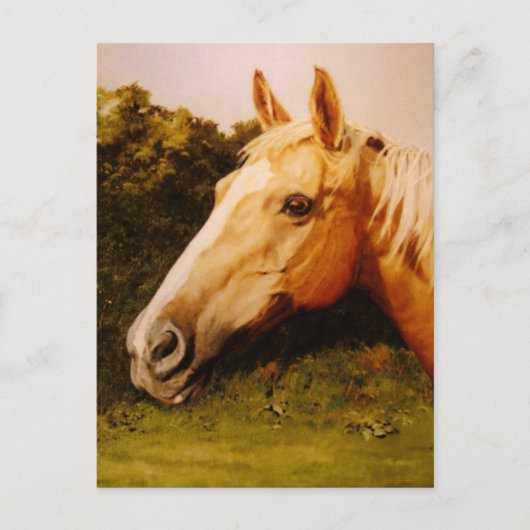 Palomino Horse Art Briefkaart (Voorkant)