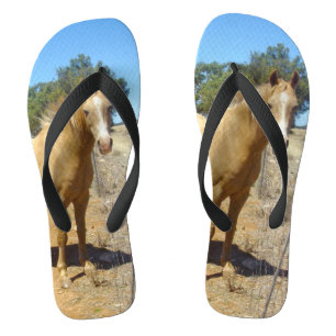Palomino Horse Beauty Teenslippers