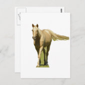 Palomino Horse Briefkaart (Voorkant / Achterkant)