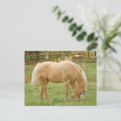 Palomino Horse Briefkaart (Staand voorkant)