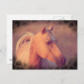 Palomino Horse Briefkaart (Voorkant / Achterkant)