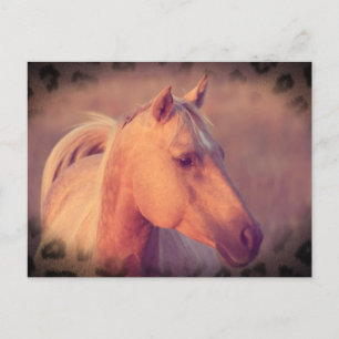 Palomino Horse Briefkaart