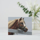 Palomino Horse Briefkaart (Staand voorkant)