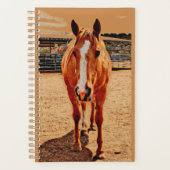 Palomino Horse Daily Planner (Voorkant)