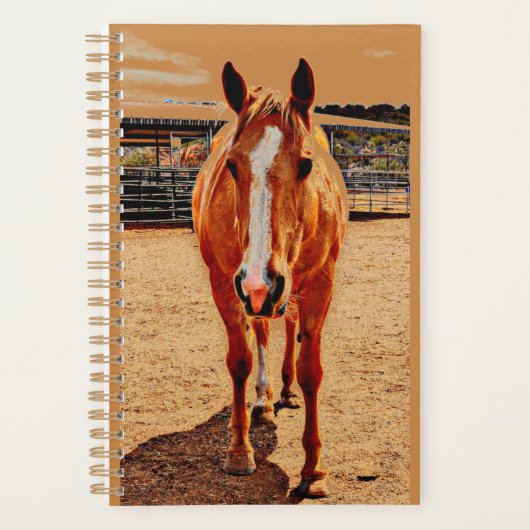 Palomino Horse Daily Planner (Voorkant)