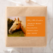 Palomino Horse Etiket (Insitu)