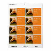 Palomino Horse Etiket (Full Sheet)