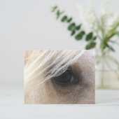 Palomino Horse Eye Briefkaart (Staand voorkant)