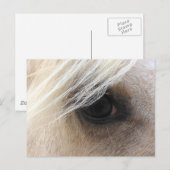 Palomino Horse Eye Briefkaart (Voorkant / Achterkant)
