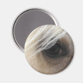 Palomino Horse Eye Magneet (Voorkant / Achterkant)